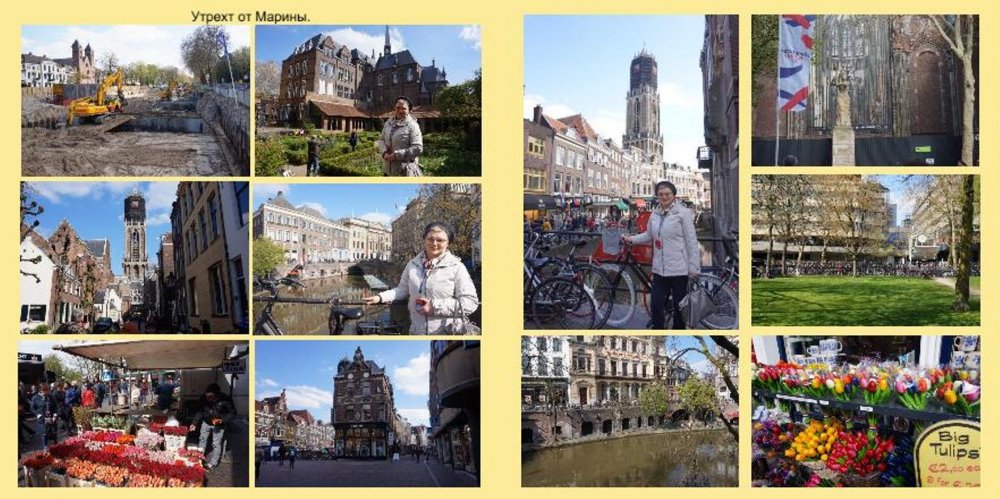 Голландио04.JPG