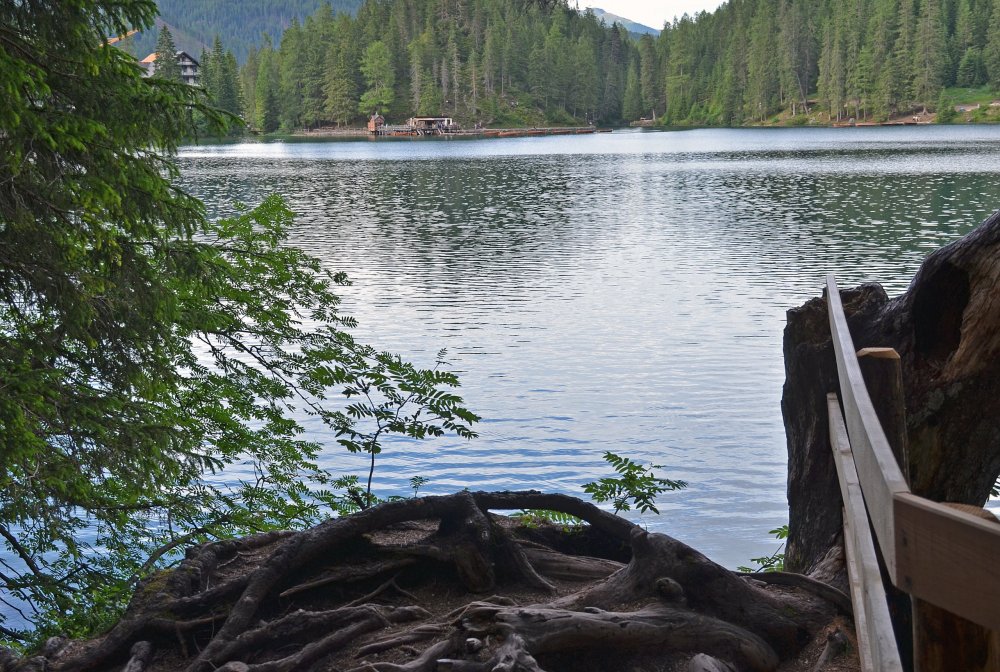 DSC_0773 — копия.JPG