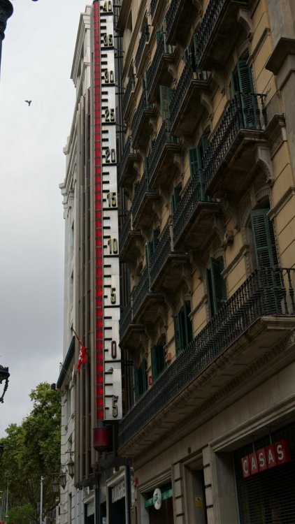 DSC01845.JPG