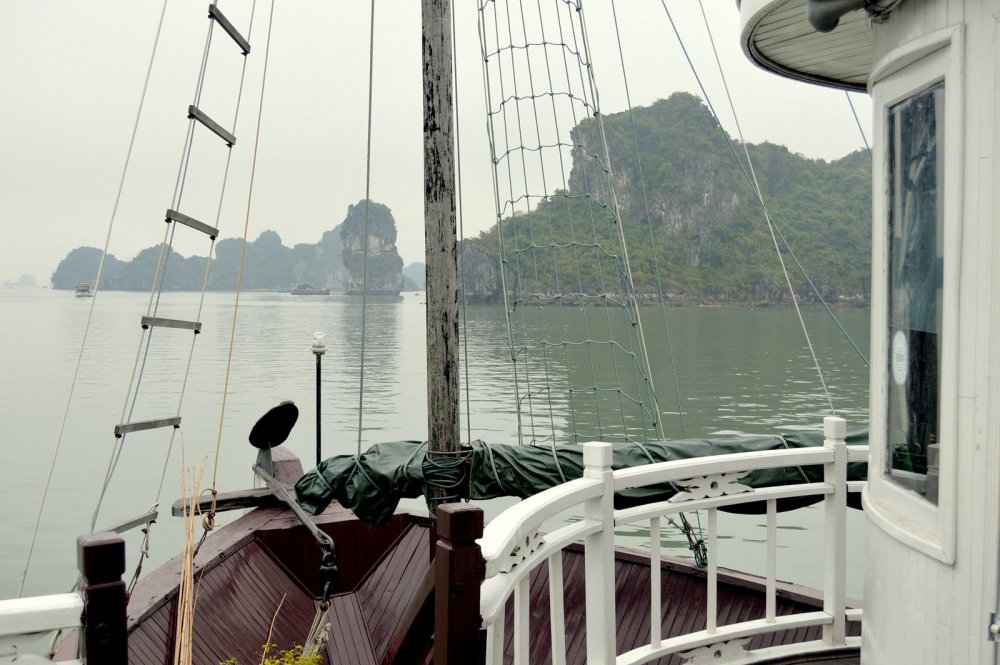 DSC_0231.JPG