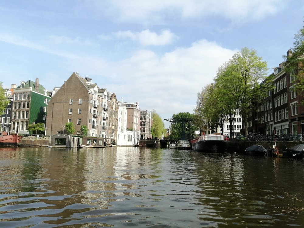 IMG_20190501_172500.jpg