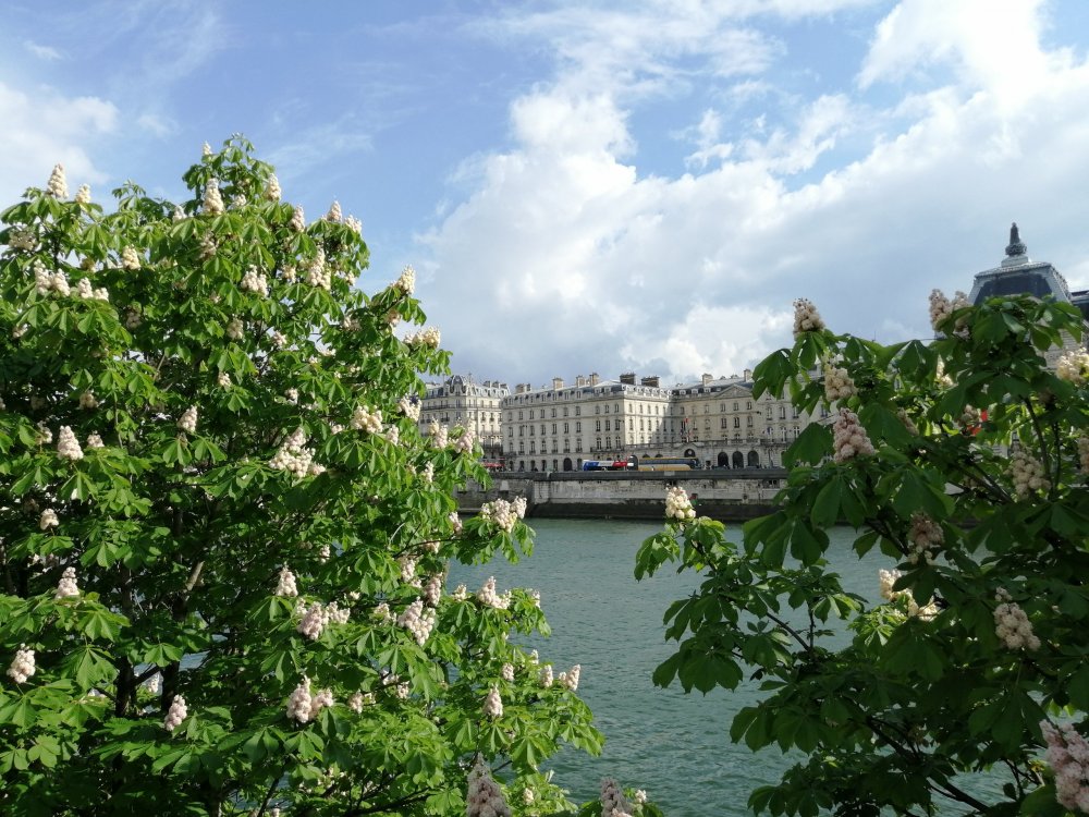 IMG_20190502_174216.jpg