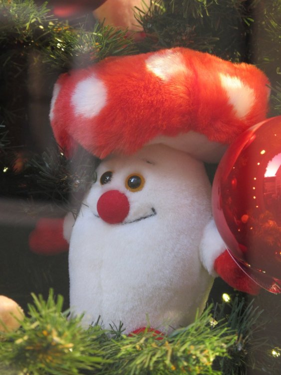 рождество2016 740.jpg