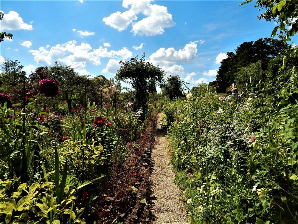 Живерни( сад19).jpg