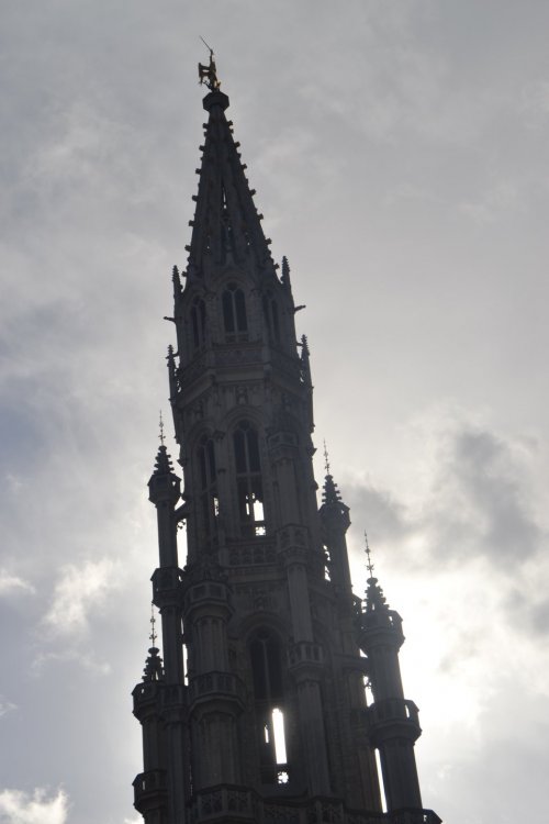 DSC_0035 — копия.JPG