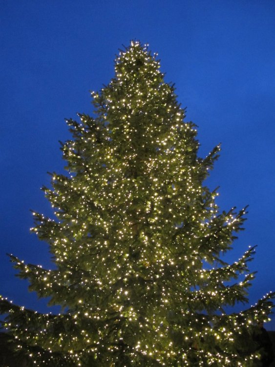 рождество2016 839.jpg