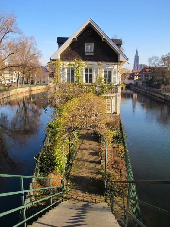 рождество2016 594.jpg