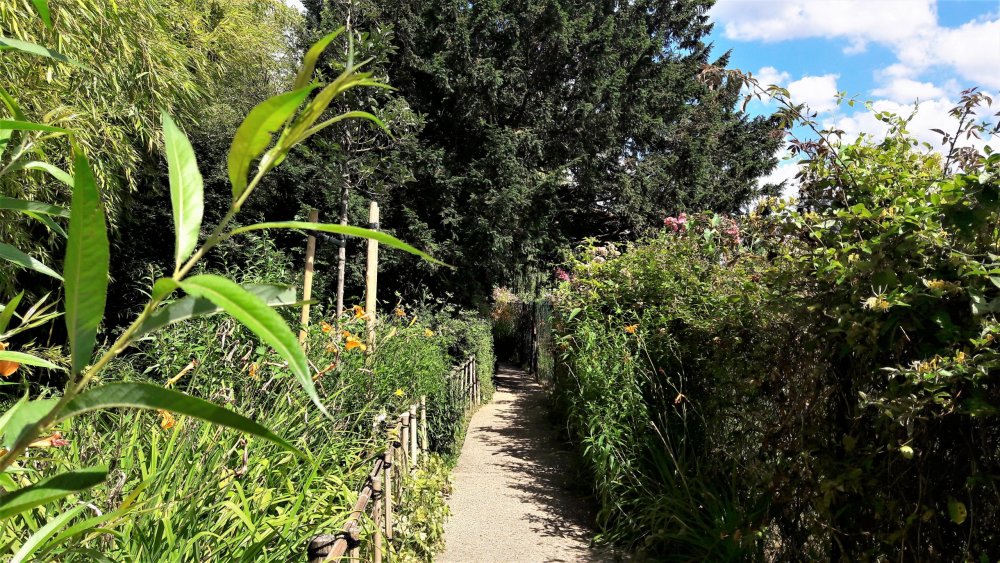 Живерни( вода1).jpg