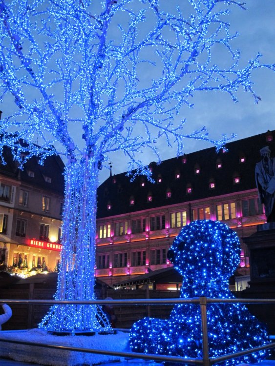 рождество2016 713.jpg