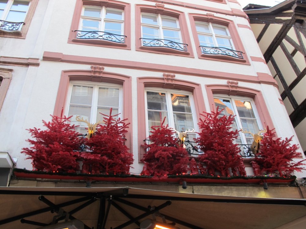 рождество2016 614.jpg