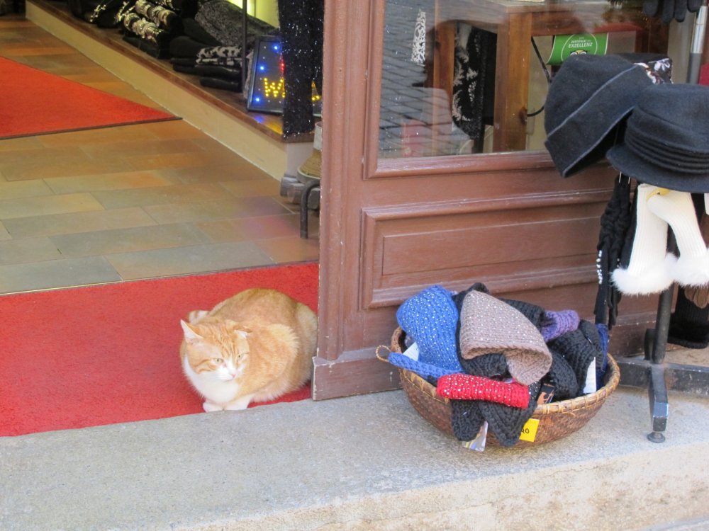 рождество2016 737.jpg