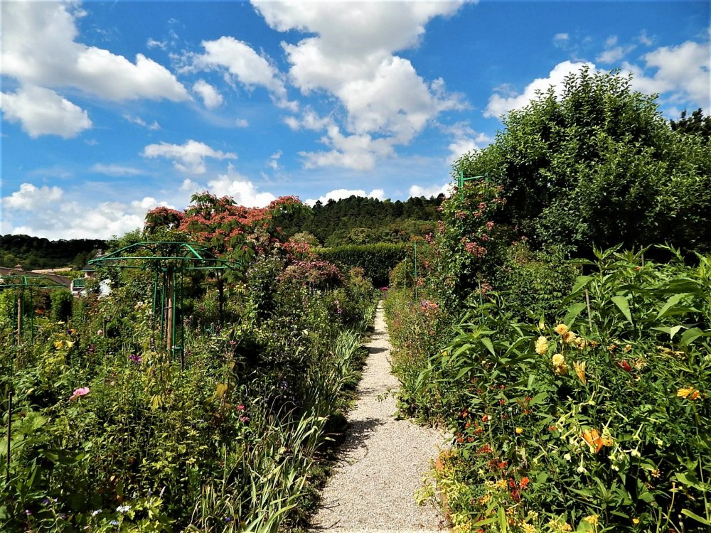 Живерни( сад15).jpg