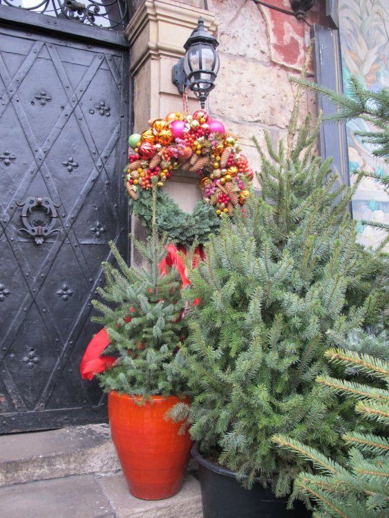 рождество2016 033.jpg