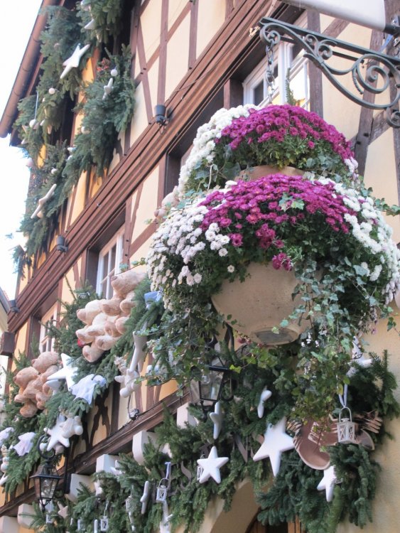 рождество2016 546.jpg