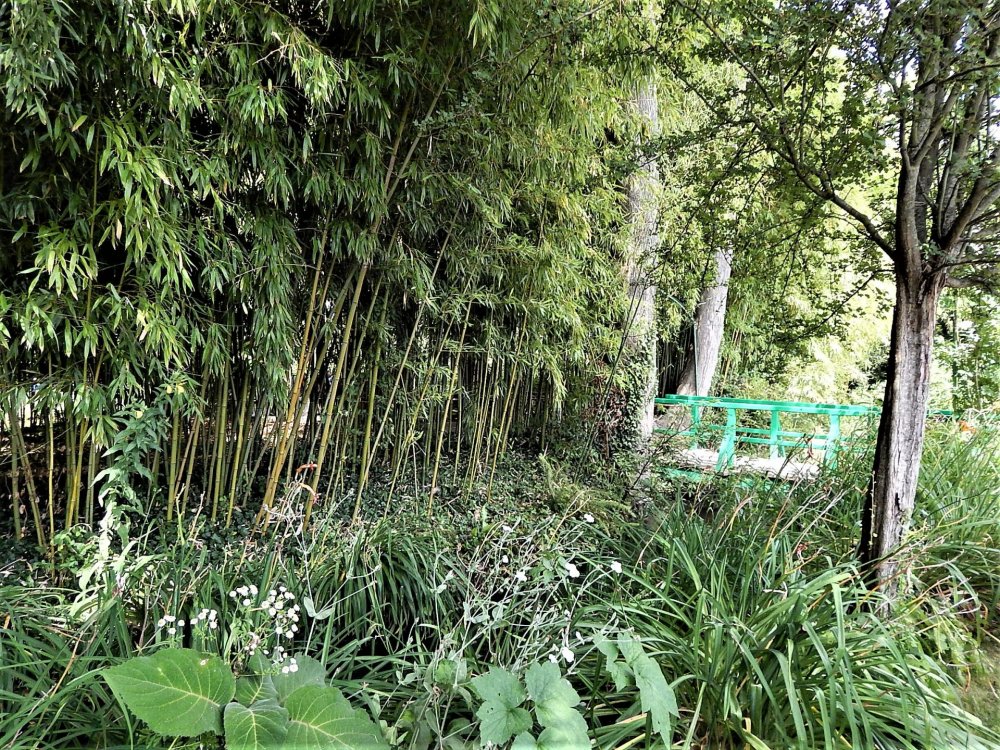 Живрени( водная часть3).jpg