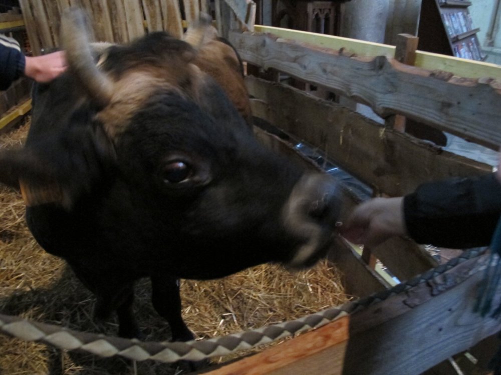 рождество2016 190.jpg