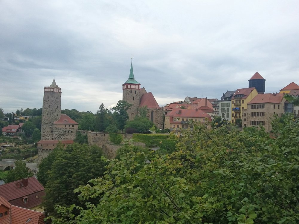 2019-09-01 11.25.00.jpg