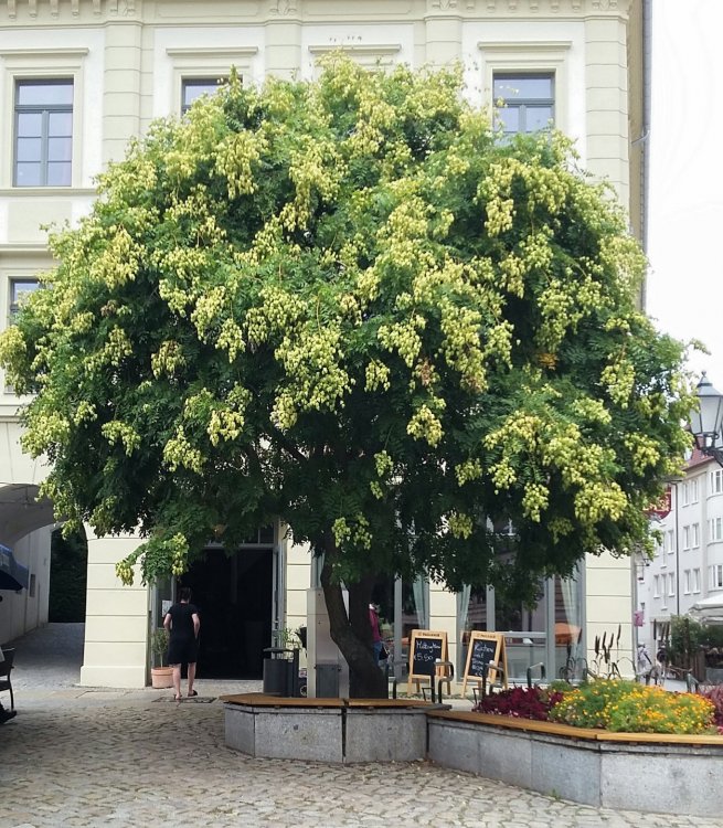 2019-09-01 11.19.31.jpg