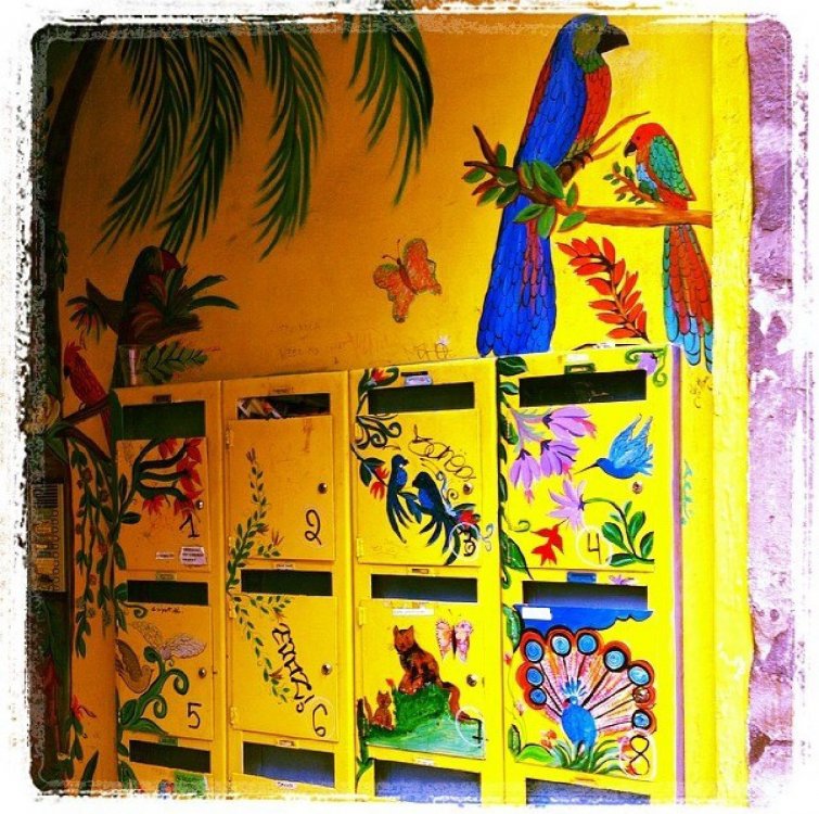 FullSizeRender-18-09-19-08-14-6 (1).jpg