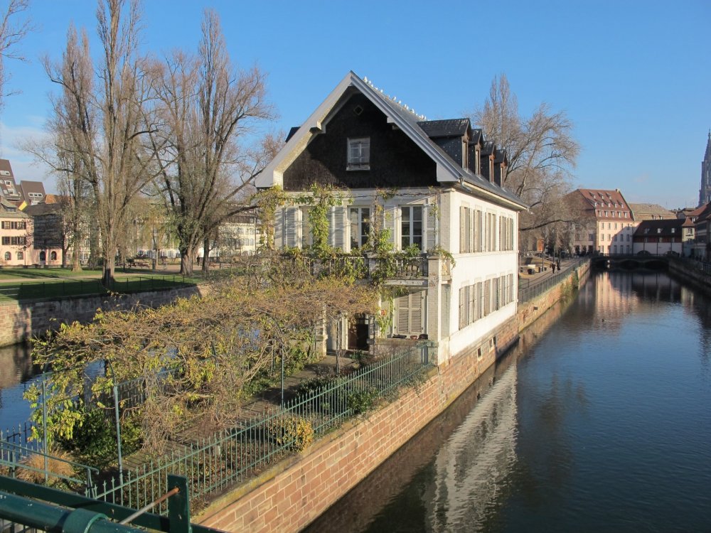 рождество2016 593.jpg