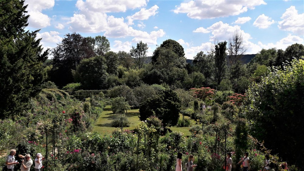 Живерни( парк из окна).jpg