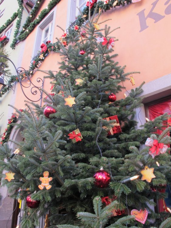 рождество2016 800.jpg