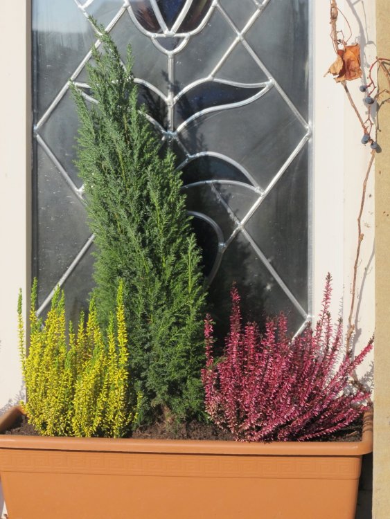 рождество2016 597.jpg