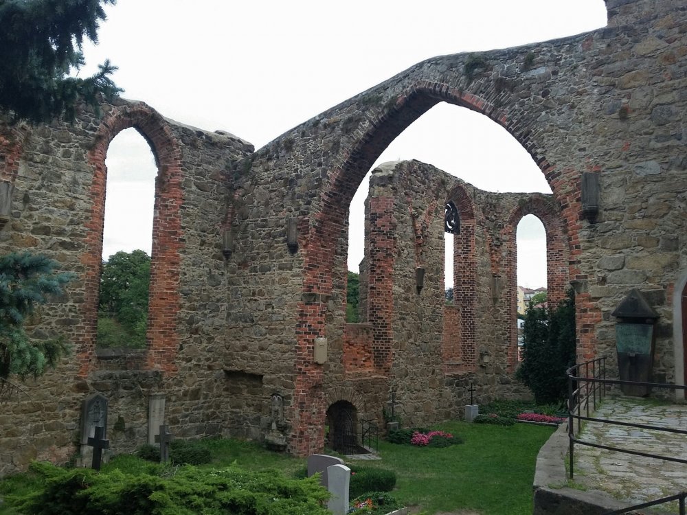 2019-09-01 11.22.59.jpg