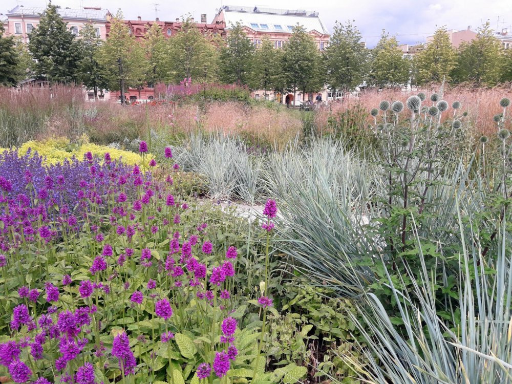 Травяной сад (2).jpg