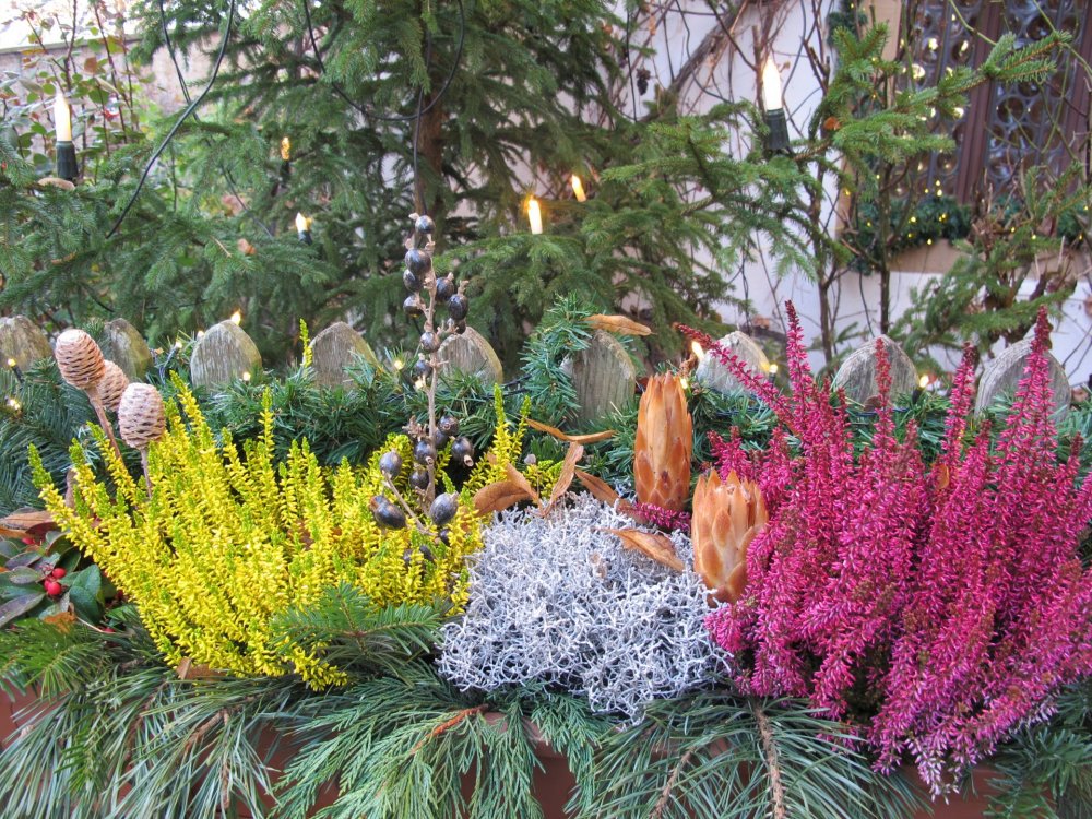 рождество2016 778.jpg