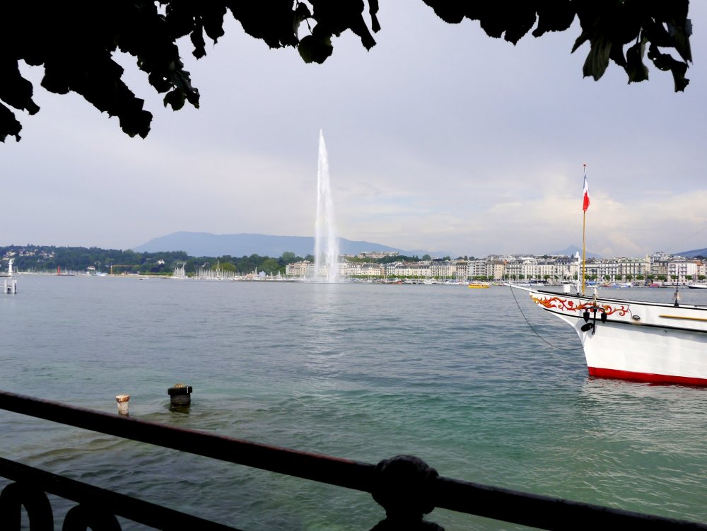 _1420841.JPG 2.jpg 2.jpg