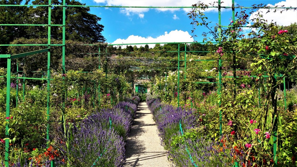 Живерни( сад10).jpg