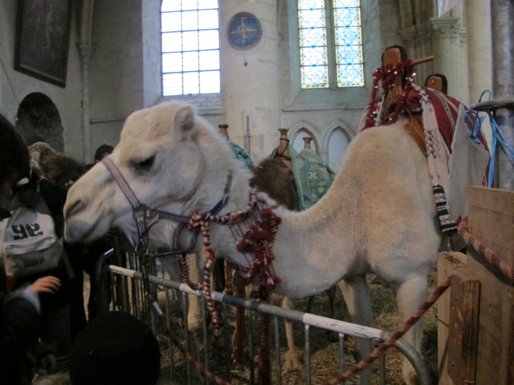 рождество2016 193.jpg