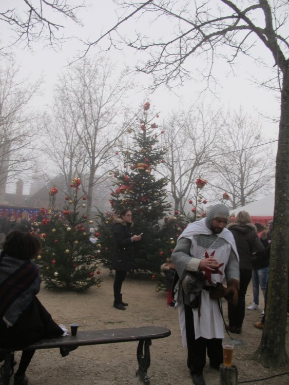 рождество2016 212.jpg