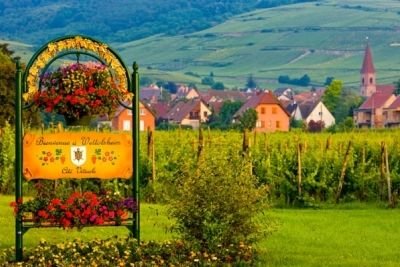 Alsace-wine_21464796283.jpg