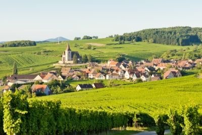 Alsace-wine_61464796375.jpg