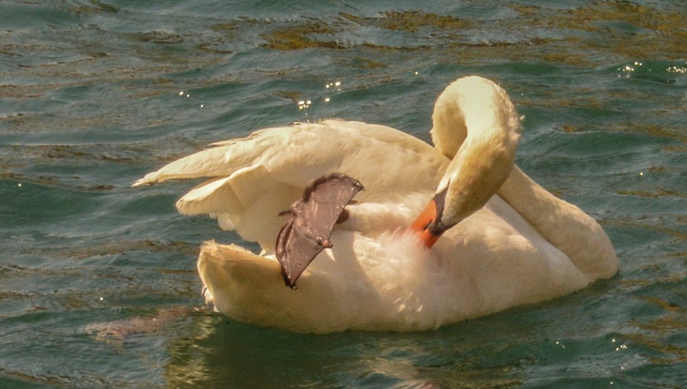 без имени-1.jpg