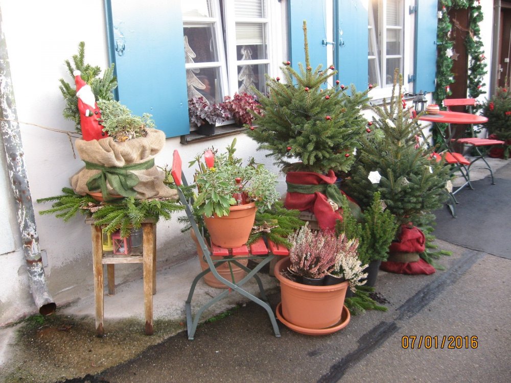 Изображение 978.jpg