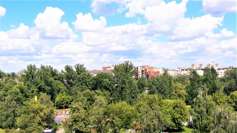 Брест колесо4.jpg