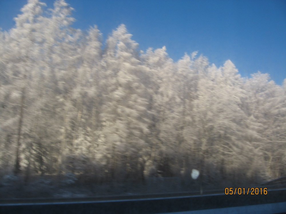 Изображение 889.jpg