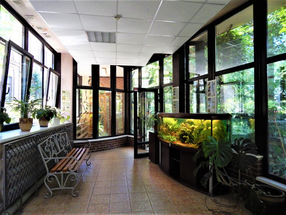 Брест( зимний сад6).jpg