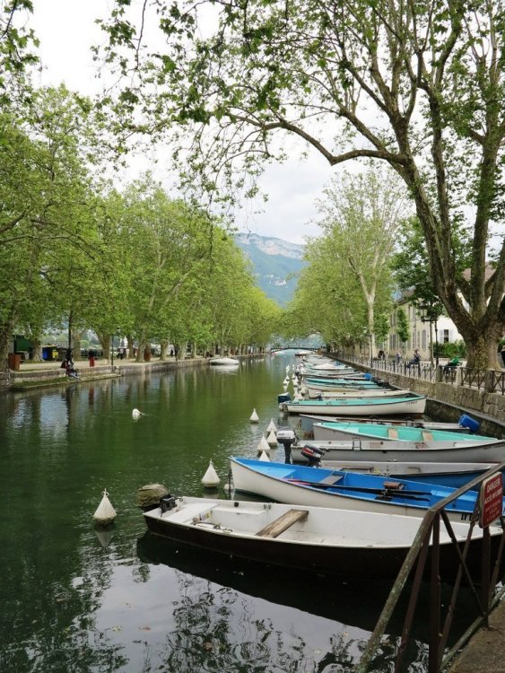 2013-06-28 16-18 Анси..jpg