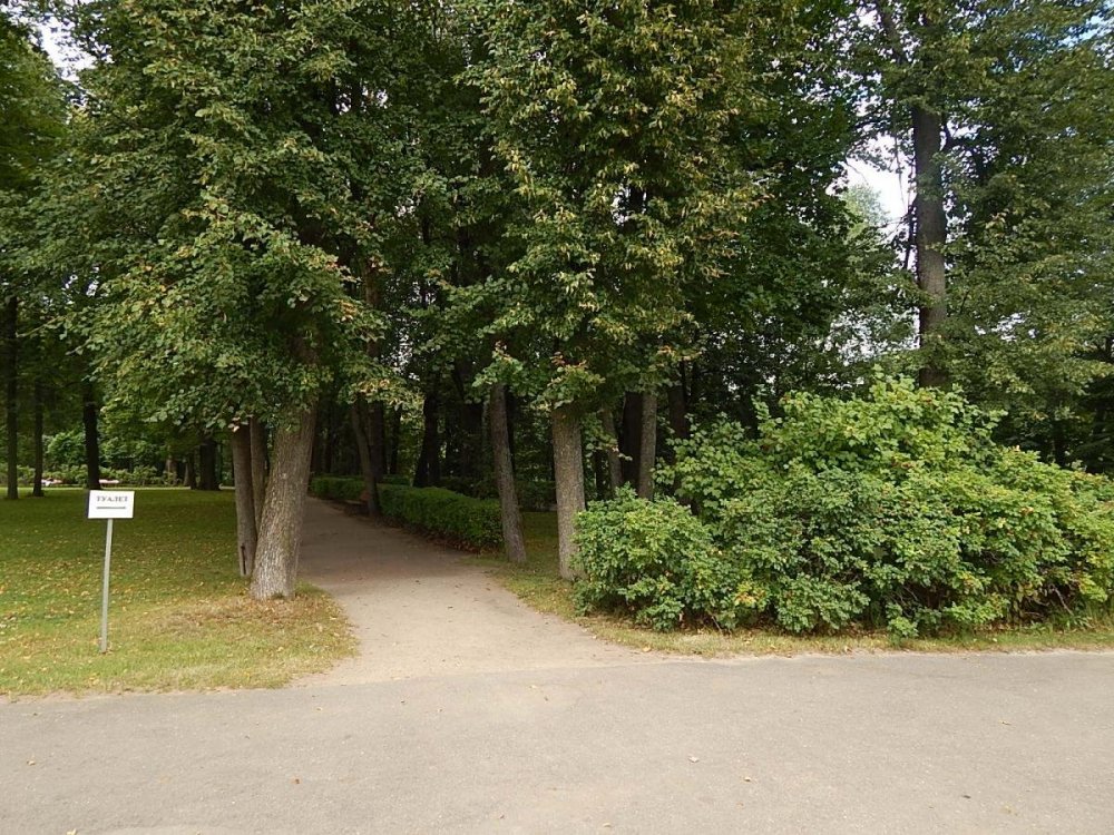 Остафьево кустик.jpg