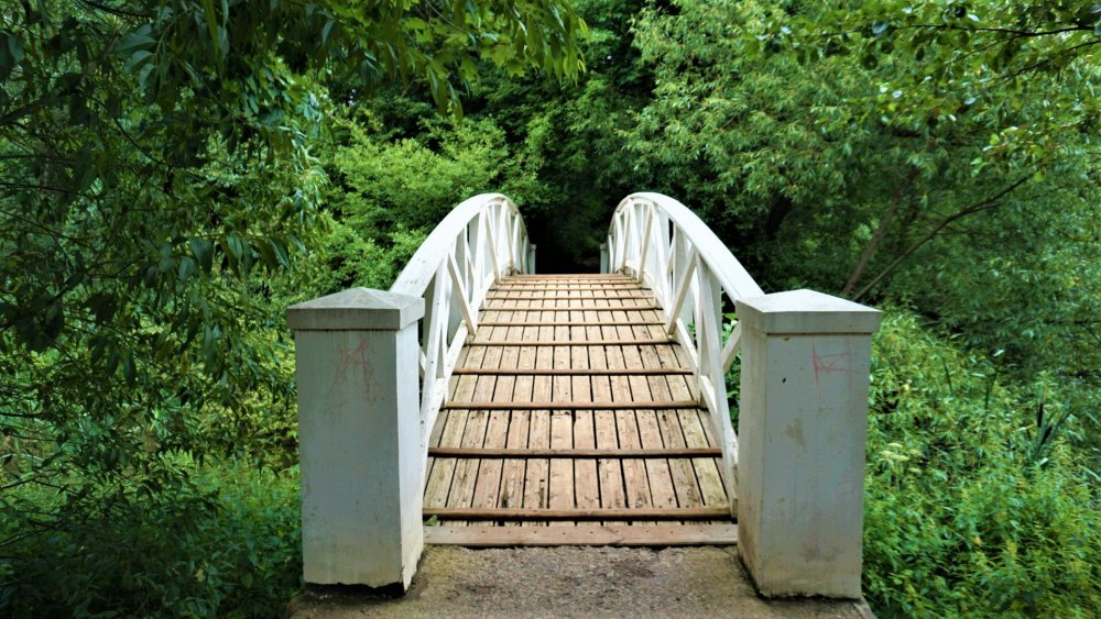 Остафьево мост.jpg