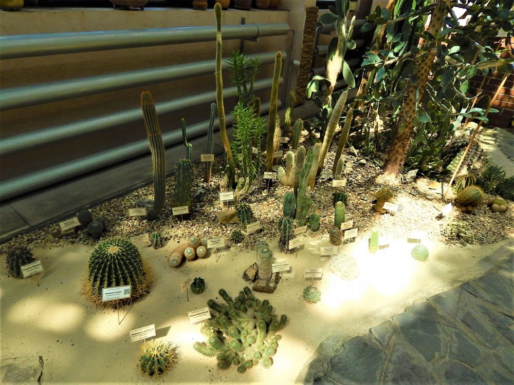 Брест( зимний сад11).jpg