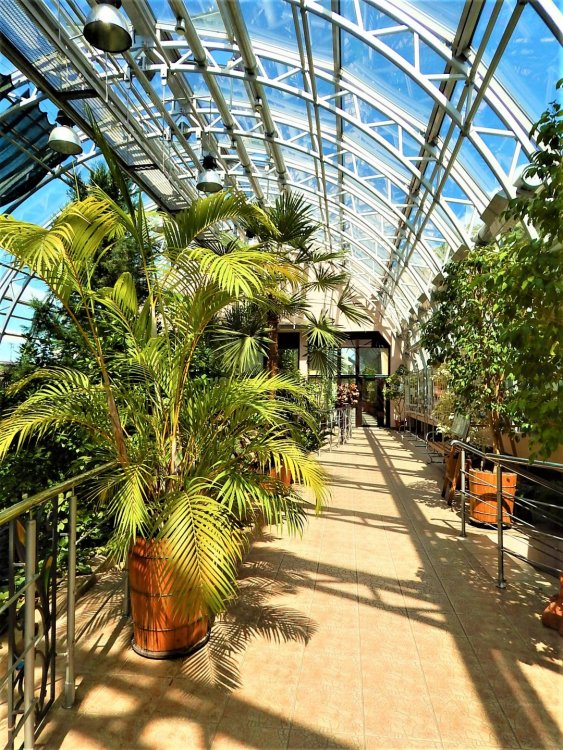 Брест( зимний сад18).jpg