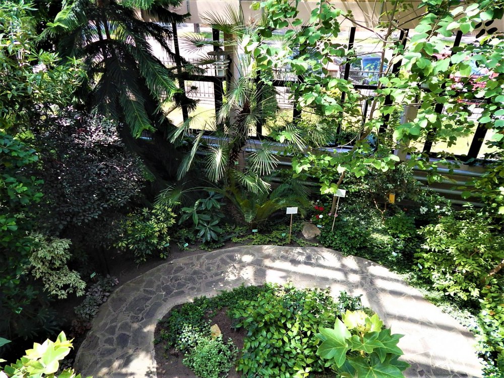 Брест( зимний сад14).jpg