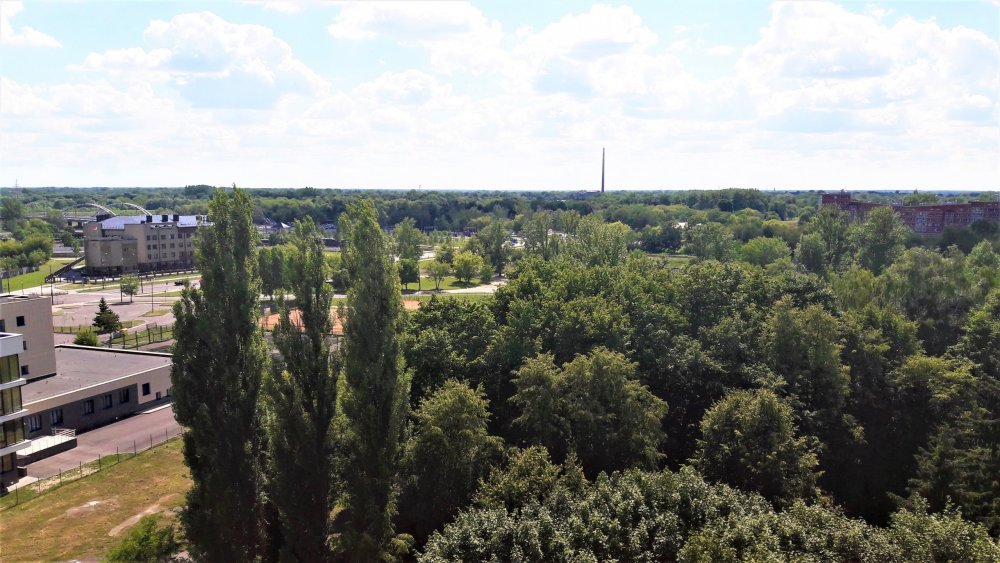 Брест колесо7.jpg