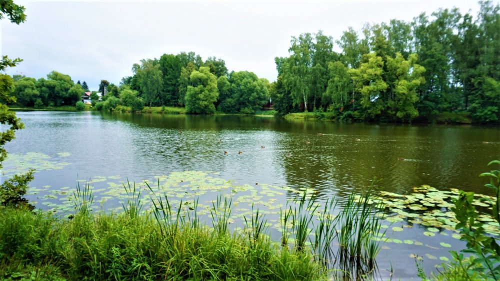 Остафьево пруд.jpg