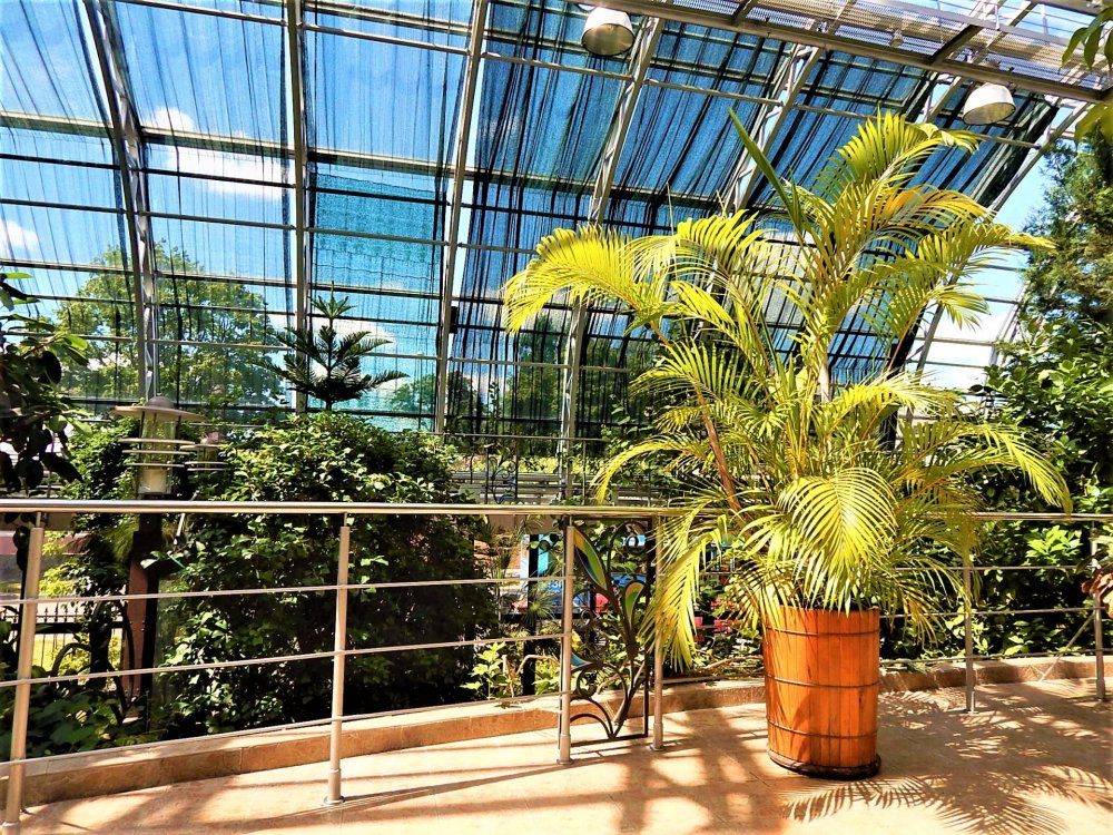 Брест( зимний сад20).jpg